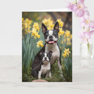 Carte Boston Terrier Mom Mother’s Day Love
