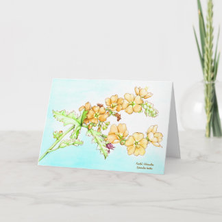 Carte Botanical wildflower watercolor, globemallow