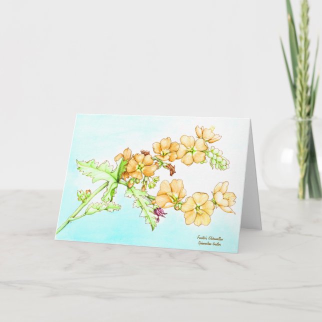 Carte Botanical wildflower watercolor, globemallow (Devant)