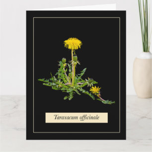 Carte Botanique de Dandelion