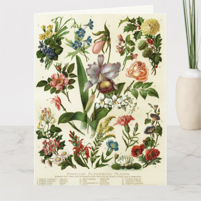 Carte Botaniques de fleurs (Devant)