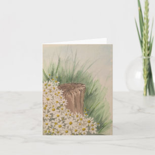Carte Bouches blanches sauvages par souche d'arbre - bla