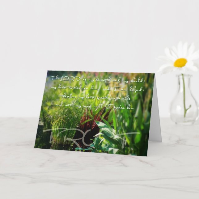 Carte Bouclier (Petite plante)
