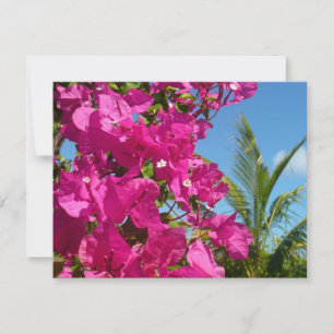 Carte Bougainvilliers et palmiers paysage tropical