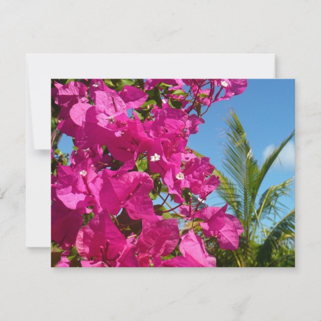 Carte Bougainvilliers et palmiers paysage tropical (Devant)