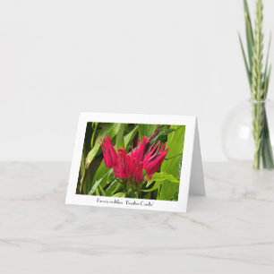 Carte Bougies brésiliennes inhabituelles Salutation Merc