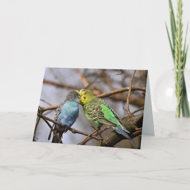 Carte Bouleau bleu et vert sur une branche d'arbre (Devant)