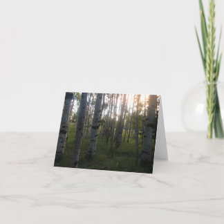 Carte Bouleaux pendant le matin