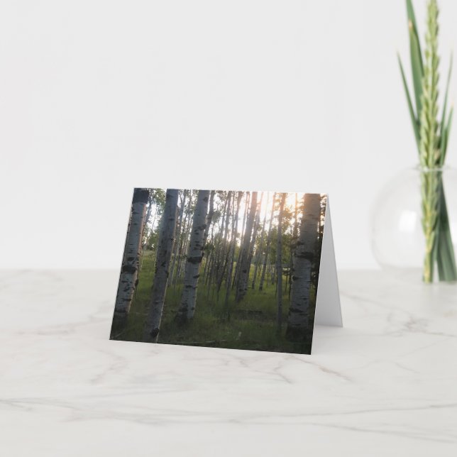 Carte Bouleaux pendant le matin (Devant)