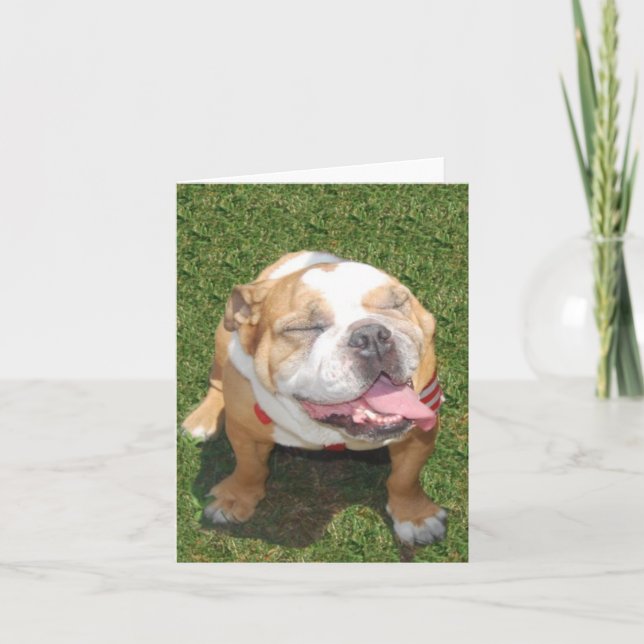 Carte Bouledogue de sourire (Devant)
