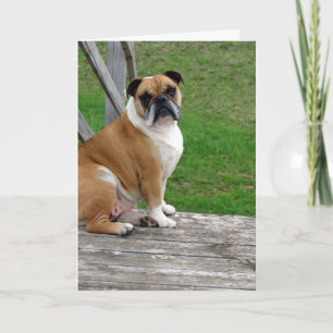 Carte Bouledogue, En pensant à toi
