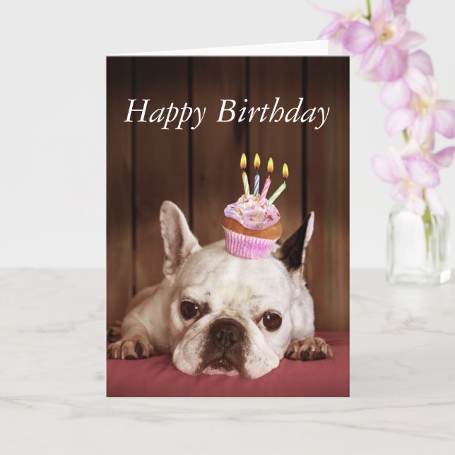 Carte De Voeux Joyeux Anniversaire Bouledogue | Vecteur Gratuite