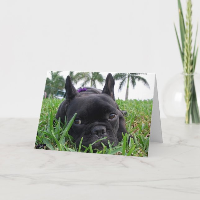 Carte Bouledogue français dans l'herbe (Devant)