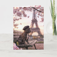 Bouledogue Français pour son anniversaire à Paris