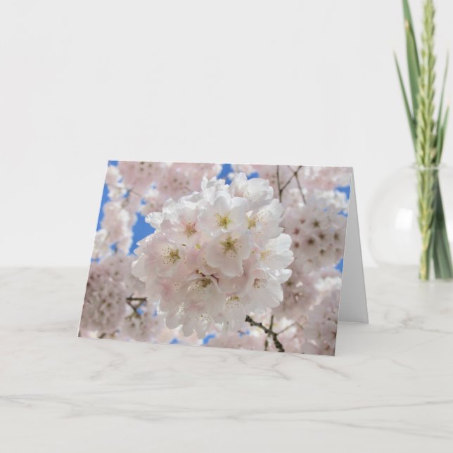 Carte Boules De Fleur Rose. (Devant)