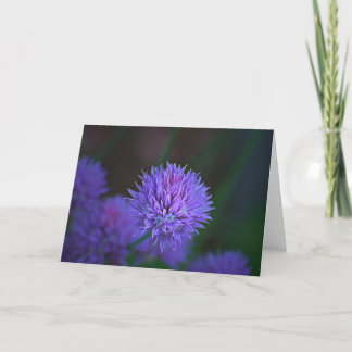 Carte boules violettes