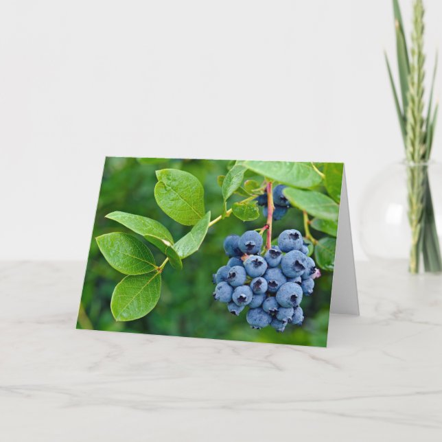 Carte bouquet de bleuets sur buisson (Devant)