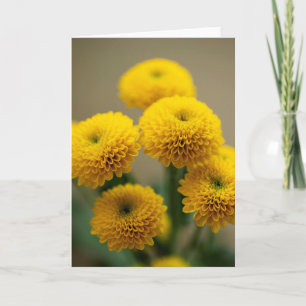 Carte Bouquet de Santini Jaune Chrysanthème Fleurs