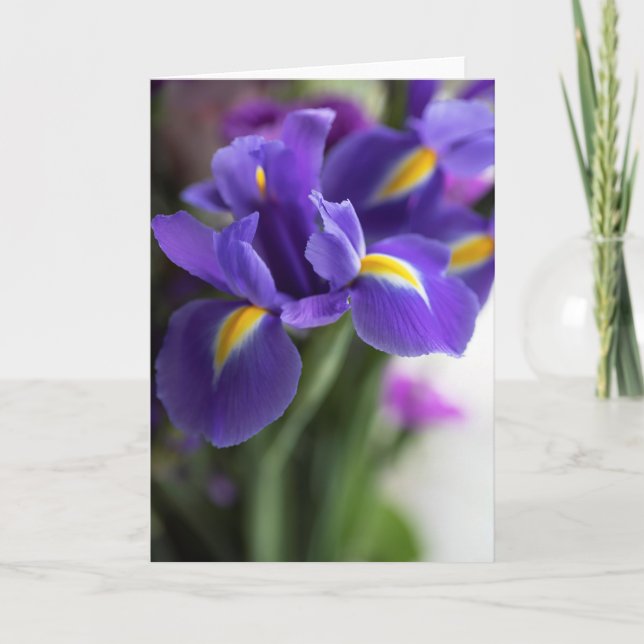 Carte Bouquet Fleur Iris Bleu (Devant)