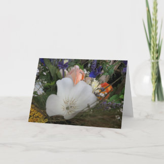 Carte Bouquet, Jardin biologique UCSC