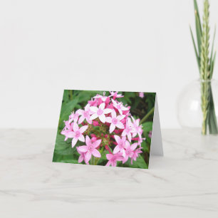 Carte Bouquet rose v2