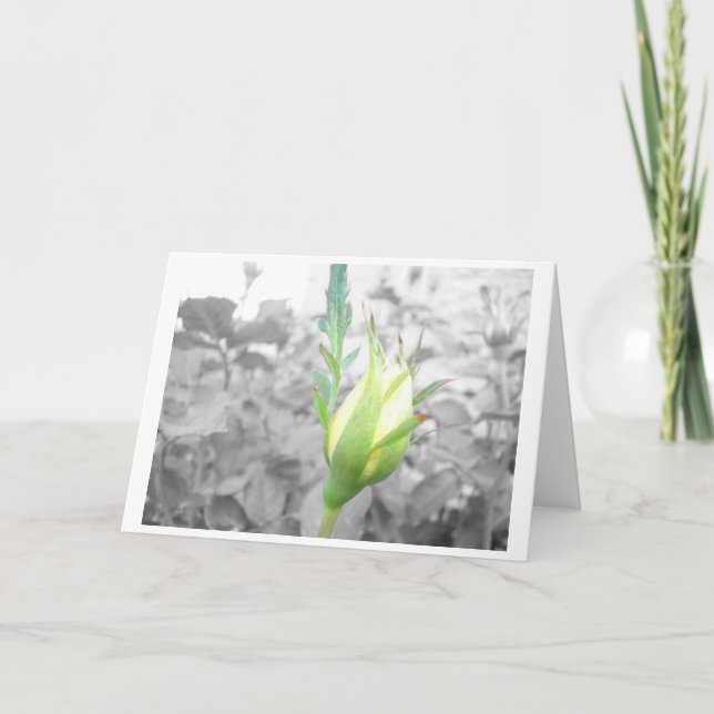 carte bourgeon jaune (Devant)