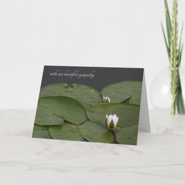 Carte Bourgeons de nénuphar pour condoléances (Devant)