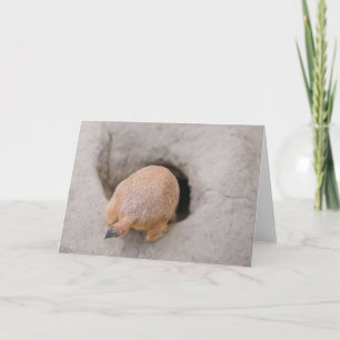 Carte Bouton de chien des Prairies