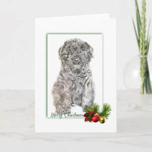 Carte Bouvier des Flandres