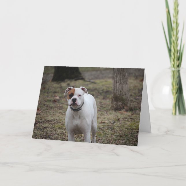 Carte Boxer (Devant)