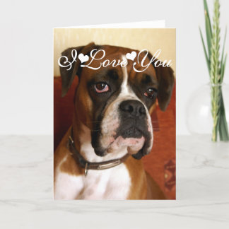 Carte Boxer Dog