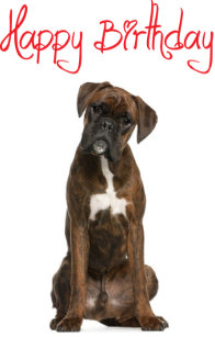 Cadeaux Chien Boxer Zazzle Fr Cadeaux Chien Boxer Zazzle Fr