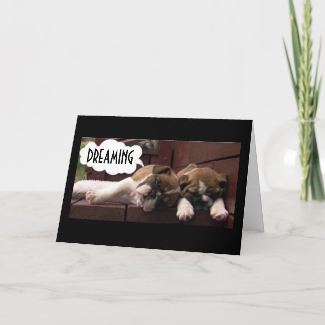 CARTE BOXER PUPS VOUS SOUHAITE * LE MEILLEUR ANNIVERSAIR (Devant)