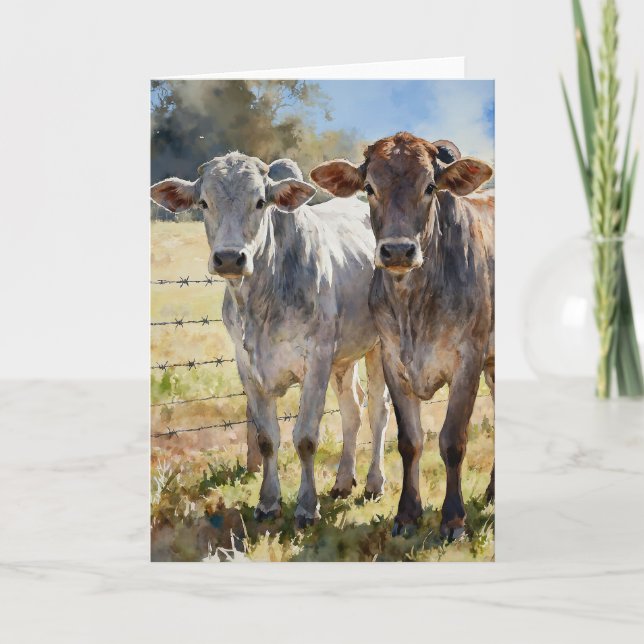 Carte Brahman Heifers In Watercolors (Devant)