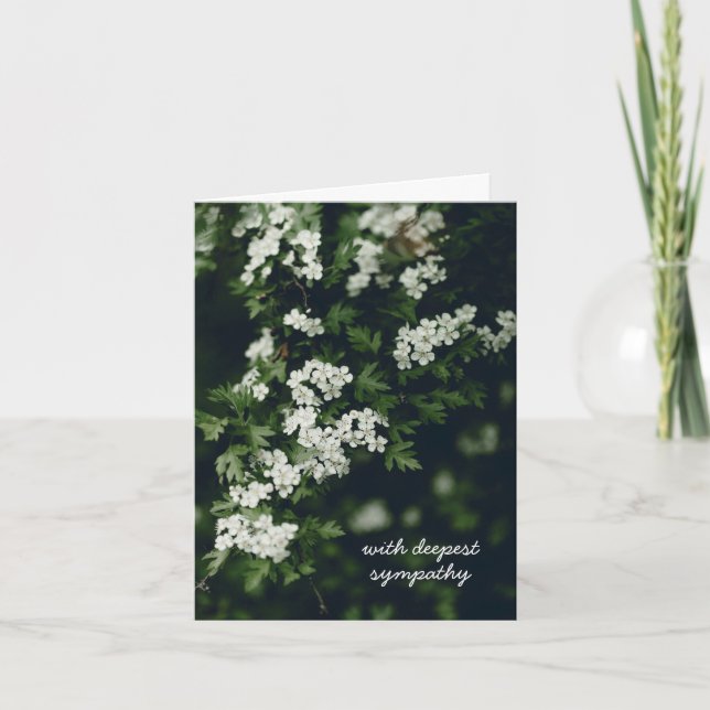 Carte Branche d'arbre en fleurs blanches, Sympathie (Devant)
