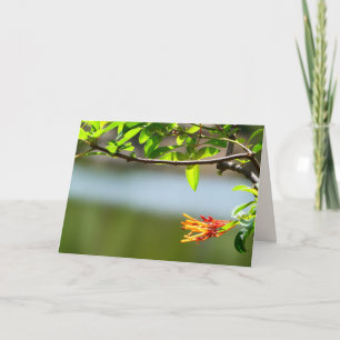 Carte Branche de l'arbre et Fleur orange, vierge à l'int