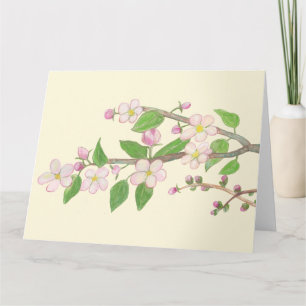 Carte Branche de pommier en fleurs