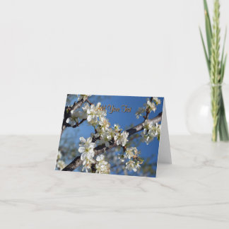 Carte Branche de prunier blanc en fleurs au printemps