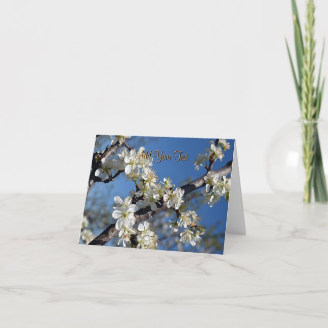 Carte Branche de prunier en fleurs blanches au printemps (Devant)