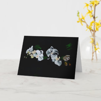 Carte Branche d'orchidées blanches