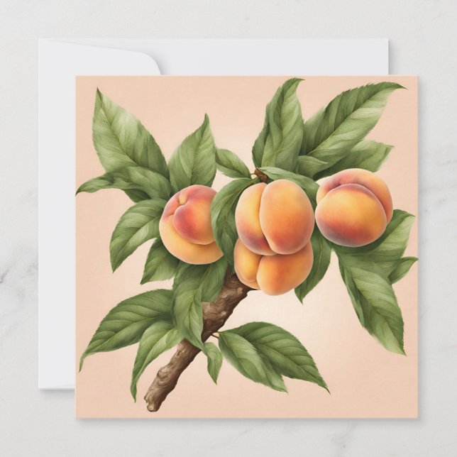 Carte Branche vintage avec fruits de pêche (Devant)