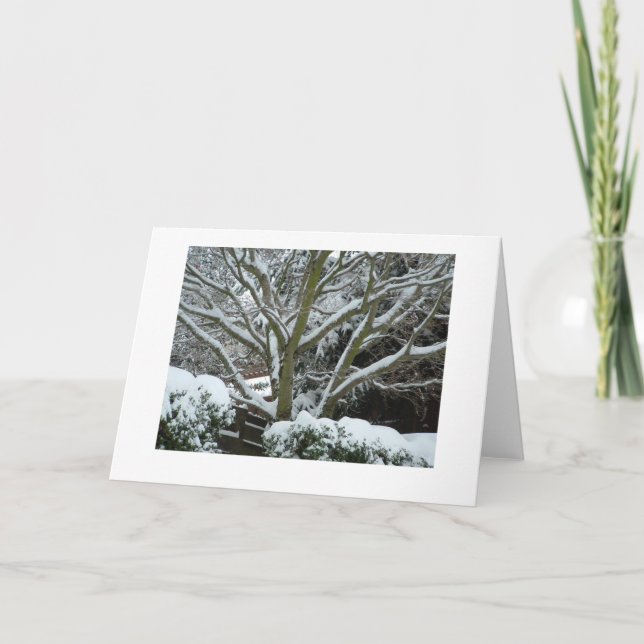 Carte Branches blanches (Devant)