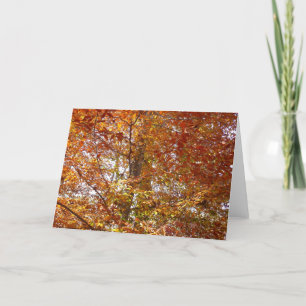 Carte Branches de la nature d'automne Feuille orange
