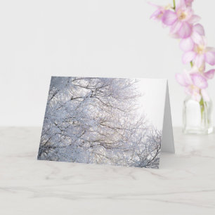Carte Branches enneigées et givrées par un matin d'hiver