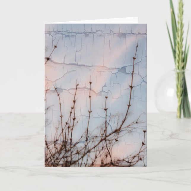 Carte Branches plus âgées Silhouette (Devant)