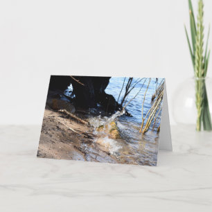 Carte Breakers, Beachlife