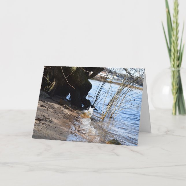 Carte Breakers, Beachlife (Devant)