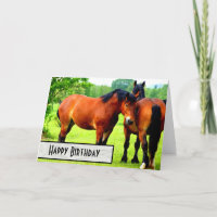 Bred Bred Bred Cheval de la baie polonais Joyeux a