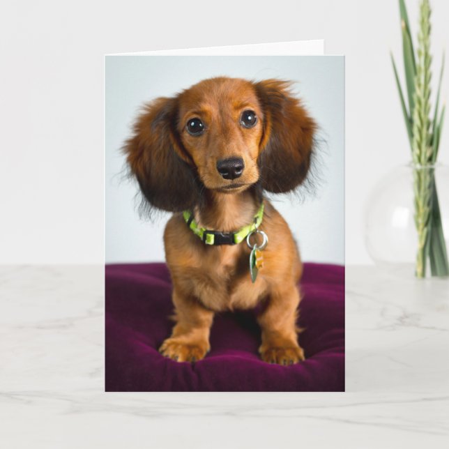 Carte Brève histoire (Devant)