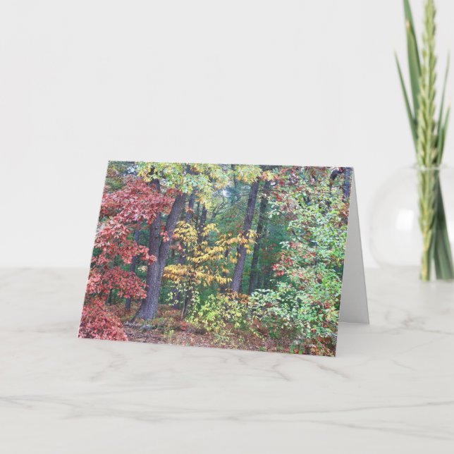 Carte Brister's Hill, Concord MA (Devant)